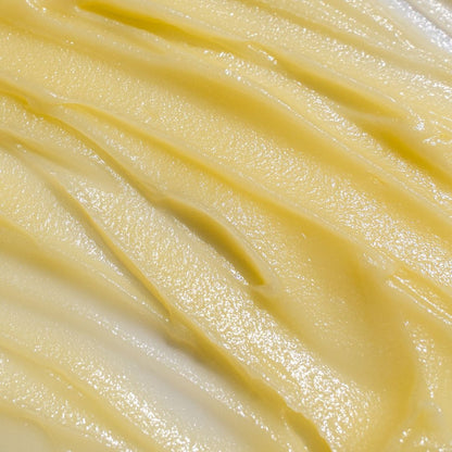 Tallow Body Cream